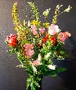 Pluk_roze_oranje_M-web.webp